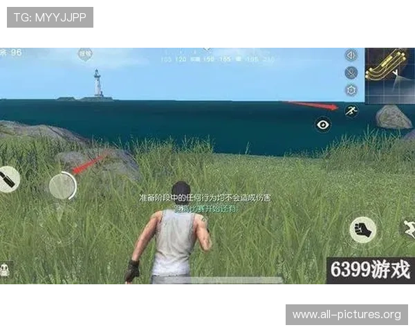 跑得快单机版游戏攻略大全,详细解析玩法技巧助你轻松获胜